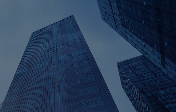 �����ʽ�����ϵͳ����滮