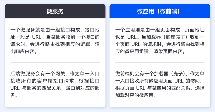 2023011388564 2023011388564